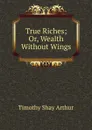 True Riches; Or, Wealth Without Wings - Timothy Shay Arthur