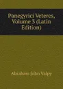 Panegyrici Veteres, Volume 3 (Latin Edition) - Abraham John Valpy