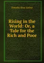 Rising in the World: Or, a Tale for the Rich and Poor - Timothy Shay Arthur