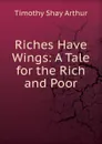 Riches Have Wings: A Tale for the Rich and Poor - Timothy Shay Arthur