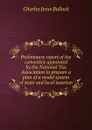 Preliminary report of the committee appointed by the National Tax Association to prepare a plan of a model system of state and local taxation - Bullock Charles Jesse