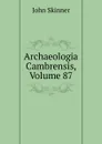 Archaeologia Cambrensis, Volume 87 - John Skinner