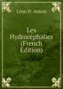 Les Hydrocephalies (French Edition) - Léon D'. Astros