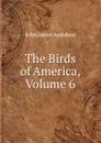 The Birds of America, Volume 6 - John James Audubon