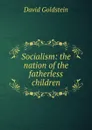 Socialism: the nation of the fatherless children - David Goldstein