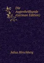 Die Augenheilkunde (German Edition) - Julius Hirschberg