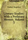 Literary Studies: With a Prefatory Memoir, Volume 3 - Walter Bagehot
