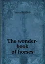 The wonder-book of horses - James Baldwin