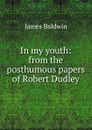 In my youth: from the posthumous papers of Robert Dudley - James Baldwin