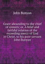 Grace abounding to the chief of sinners; or, A brief and faithful relation of the exceeding mercy of God in Christ, to his poor servant John Bunyan - John Bunyan