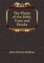The Plants of the Bible, Trees and Shrubs - J.H. Balfour