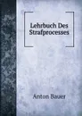 Lehrbuch Des Strafprocesses - A. Bauer