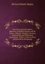 Historical and Descriptive Sketches of Suffolk County and Its Towns, Villages, Hamlets, Scenery, Institutions, and Important Enterprises: With a . from Its First Settlement by Europeans - Richard Mather Bayles