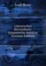 Literarisches Skizzenbuch: Gesammelte Aufsatze (German Edition) - Josef Bayer