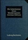 Die Geheimnisse Eines Wundermannes (German Edition) - Ludwig Bechstein