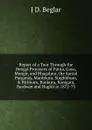 Report of a Tour Through the Bengal Provinces of Patna, Gaya, Mongir, and Bhagalpur, the Santal Parganas, Manbhum, Singhbhum, . Birbhum, Bankura, Raniganj, Bardwan and Hughli in 1872-73 - J D. Beglar