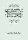 Lettres De Joachim Du Bellay: Publiees Pour La Premiere Fois D.apres Les Originaux (French Edition) - Joachim Du Bellay