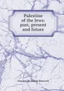 Palestine of the Jews: past, present and future - Norman de Mattos Bentwich