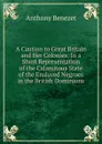 A Caution to Great Britain and Her Colonies: In a Short Representation of the Calamitous State of the Enslaved Negroes in the British Dominions - Anthony Benezet