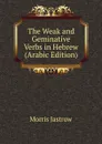 The Weak and Geminative Verbs in Hebrew (Arabic Edition) - Morris Jastrow