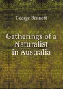 Gatherings of a Naturalist in Australia - George Bennett