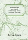 Sommaruga occulto e Sommaruga palese (Italian Edition) - Davide Besana