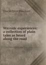 Wayside experiences: a collection of plain tales as heard along the road - Charles Elton Blanchard