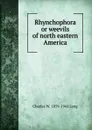 Rhynchophora or weevils of north eastern America - Charles W. 1859-1941 Leng