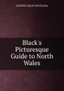 Black.s Picturesque Guide to North Wales - Ltd Black Adam And Charles