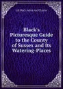 Black.s Picturesque Guide to the County of Sussex and Its Watering-Places - Ltd Black Adam And Charles