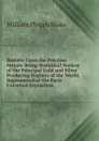 Reports Upon the Precious Metals: Being Statistical Notices of the Principal Gold and Silver Producing Regions of the World, Represented at the Paris Universal Exposition - William Phipps Blake