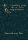 A mound of many cities: or, Tell el Hesy excavated - Frederick Jones Bliss