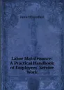 Labor Maintenance: A Practical Handbook of Employees. Service Work - Daniel Bloomfield