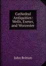 Cathedral Antiquities: Wells, Exeter, and Worcester - John Britton