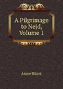 A Pilgrimage to Nejd, Volume 1 - Anne Blunt