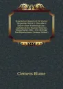 Repertorium Repertorii: Kritischer Wegweiser Durch U. Chevalier.s Repertorium Hymnologicum : Alphabetisches Register Falscher, Mangelhafter Oder . Und Methode Des Repertoriums (German Edition) - Clemens Blume