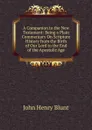 A Companion to the New Testament: Being a Plain Commentary On Scripture History from the Birth of Our Lord to the End of the Apostolic Age - John Henry Blunt