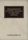 Nachgelassene Schriften, Volumes 3-4 (German Edition) - Ludwig Börne
