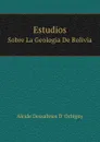 Estudios. Sobre La Geologia De Bolivia - A.D. D' Orbigny