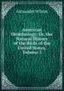 American Ornithology; Or, the Natural History of the Birds of the United States, Volume 3 - Alexander Wilson