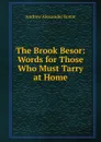 The Brook Besor: Words for Those Who Must Tarry at Home - Andrew Alexander Bonar