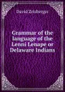 Grammar of the language of the Lenni Lenape or Delaware Indians - David Zeisberger