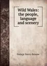 Wild Wales: the people, language and scenery - George Henry Borrow