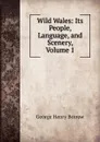 Wild Wales: Its People, Language, and Scenery, Volume 1 - George Henry Borrow