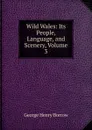 Wild Wales: Its People, Language, and Scenery, Volume 3 - George Henry Borrow