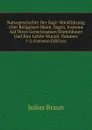 Naturgeschichte Der Sage: Ruckfuhrung Aller Religiosen Ideen, Sagen, Systeme Auf Ihren Gemeinsamen Stammbaum Und Ihre Letzte Wurzel, Volumes 1-2 (German Edition) - Julius Braun