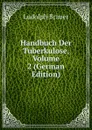 Handbuch Der Tuberkulose, Volume 2 (German Edition) - Ludolph Brauer