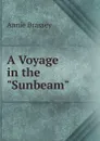 A Voyage in the 