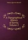 A Topographical History of Surrey, Volume 2 - Gideon Algernon Mantell