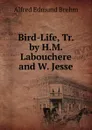 Bird-Life, Tr. by H.M. Labouchere and W. Jesse - Alfred Edmund Brehm